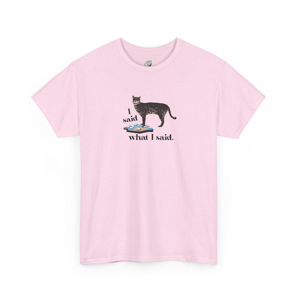 I Said What I Said Flounder Graphic Tee — Hand-Drawn Talking Pet Buttons