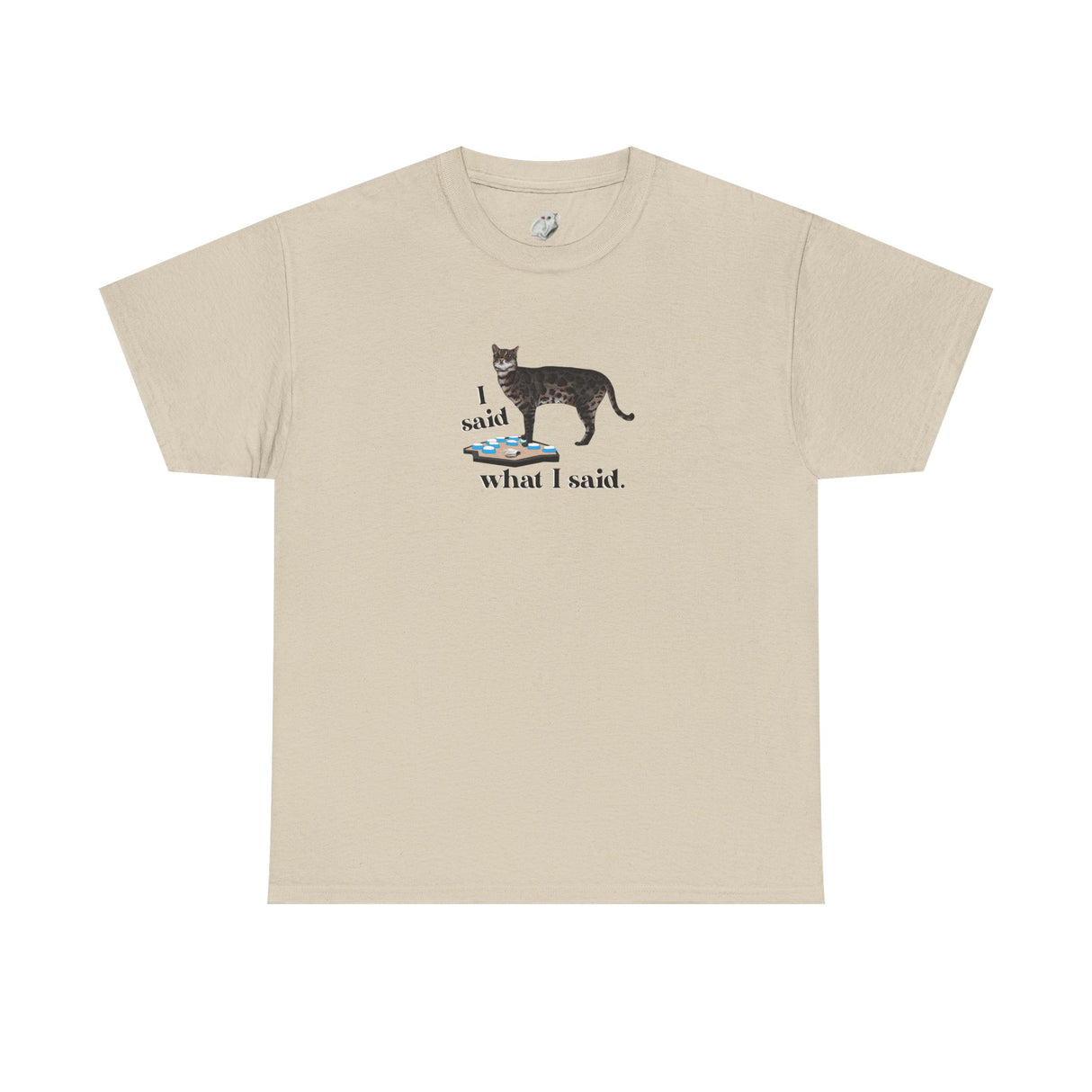 I Said What I Said Flounder Graphic Tee — Hand-Drawn Talking Pet Buttons