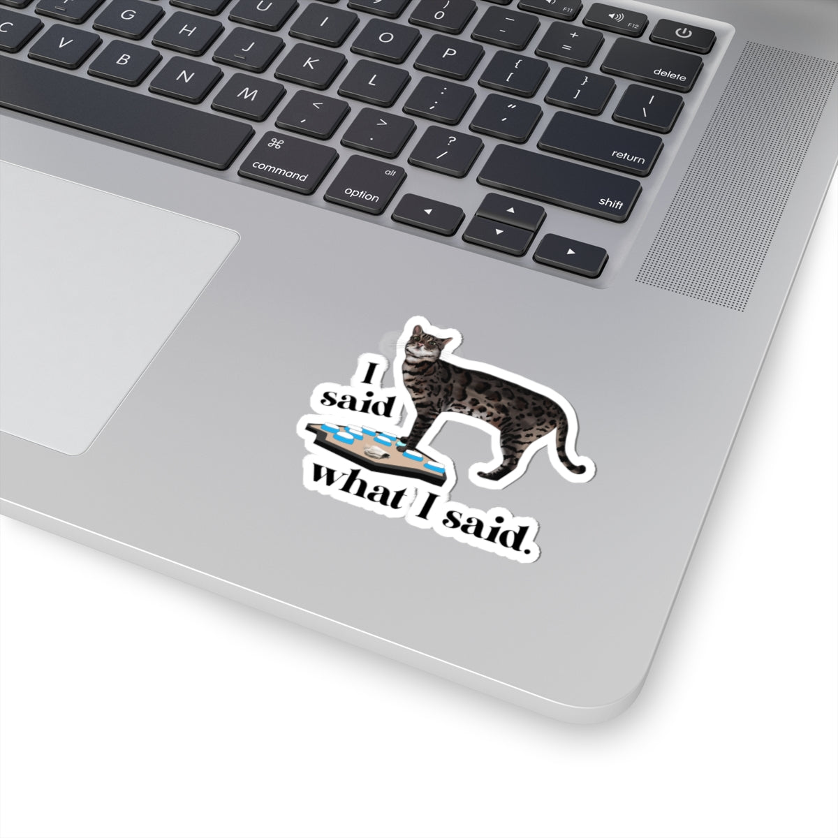 Kiss-Cut Sticker — “I Said What I Said” Flounder Talking Pet Buttons Design