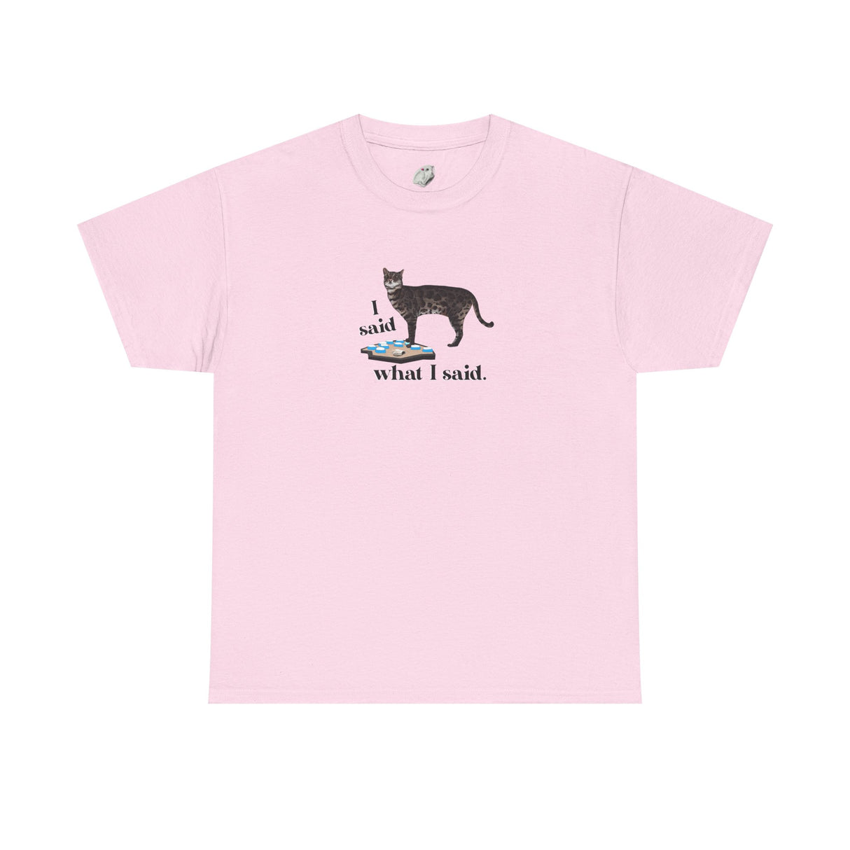 I Said What I Said Flounder Graphic Tee — Hand-Drawn Talking Pet Buttons