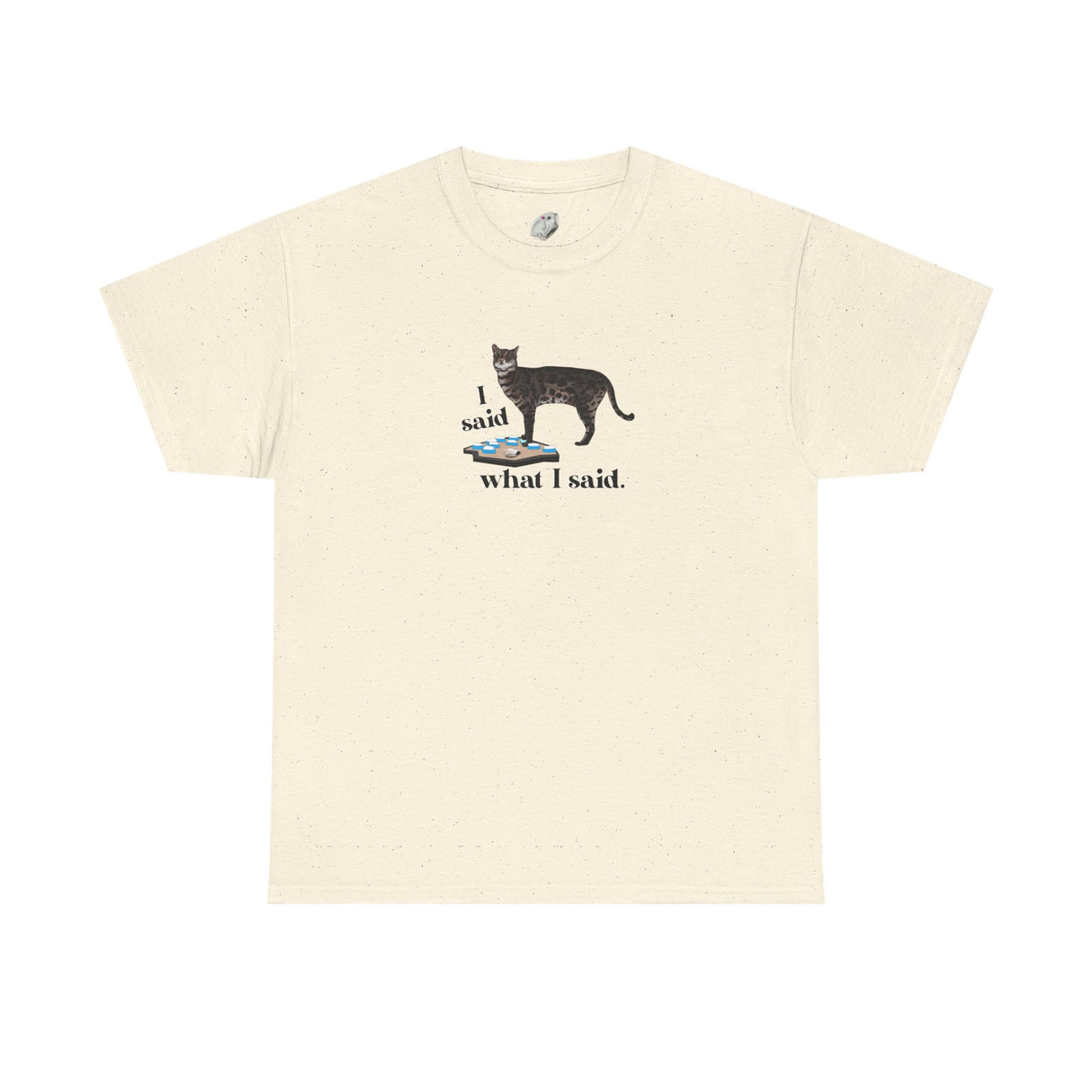 I Said What I Said Flounder Graphic Tee — Hand-Drawn Talking Pet Buttons