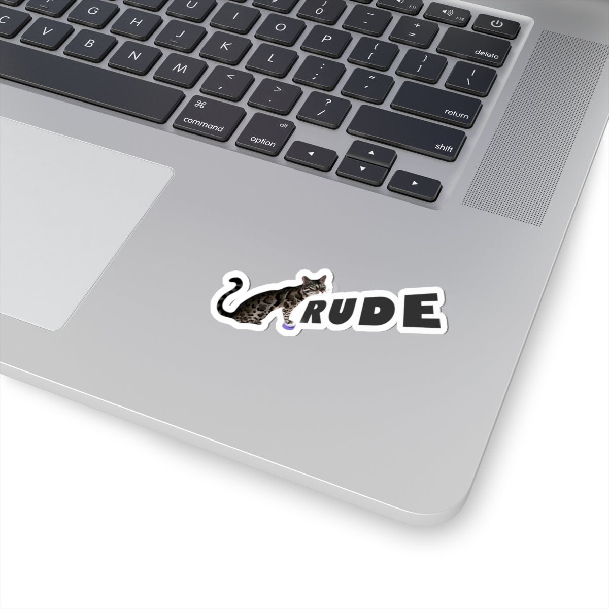 RUDE Flounder Talking Cat/Fish Kiss-Cut Sticker
