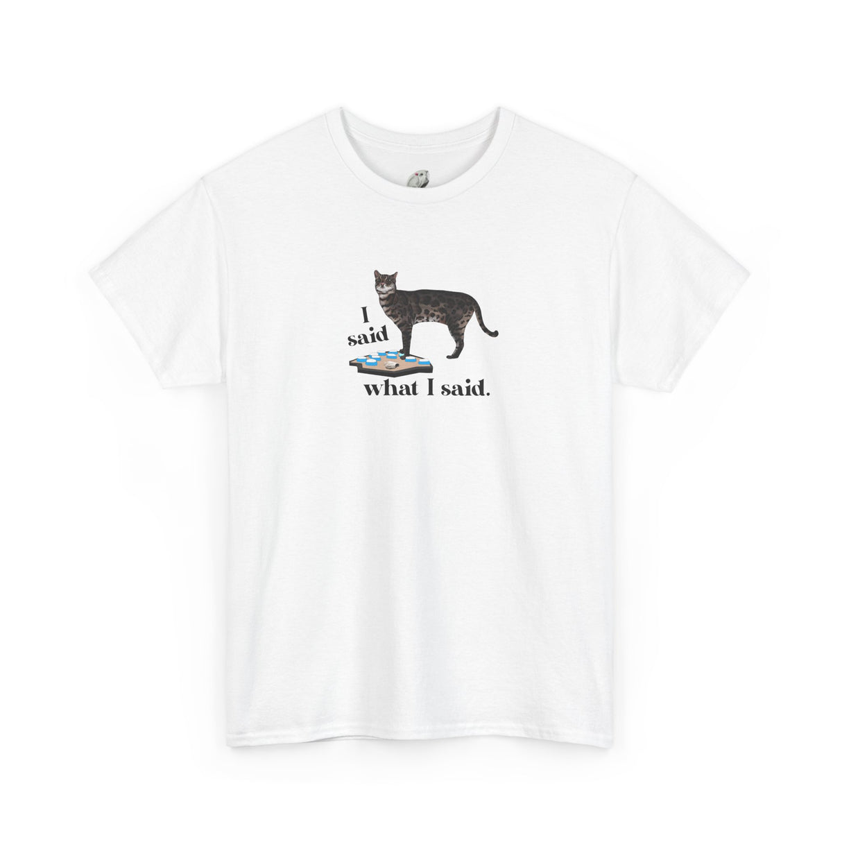 I Said What I Said Flounder Graphic Tee — Hand-Drawn Talking Pet Buttons