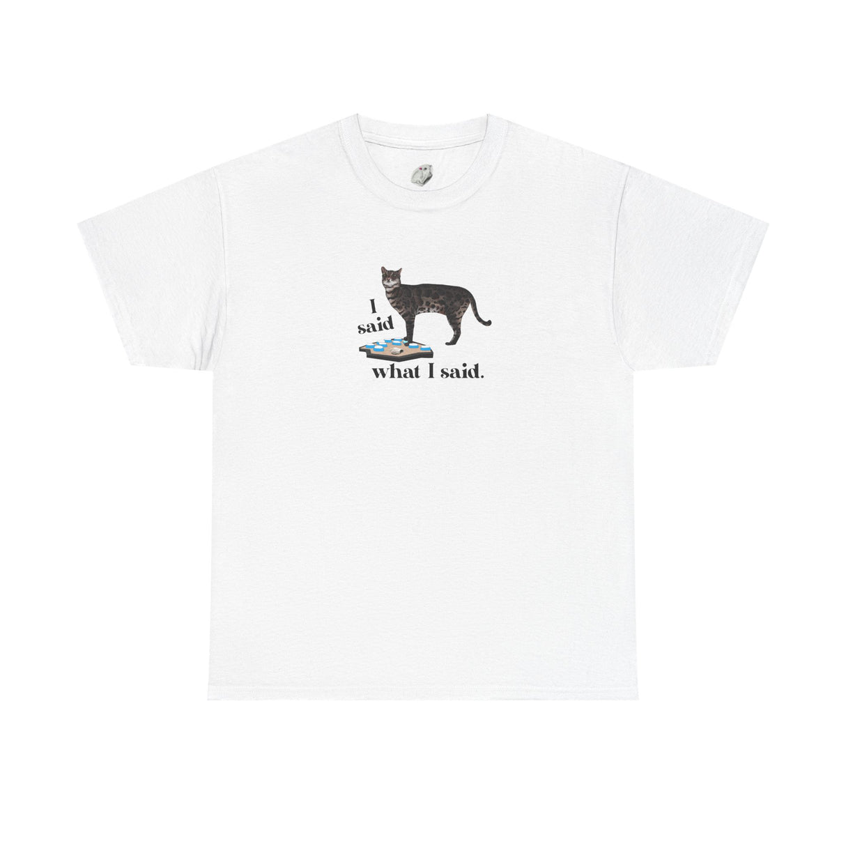 I Said What I Said Flounder Graphic Tee — Hand-Drawn Talking Pet Buttons