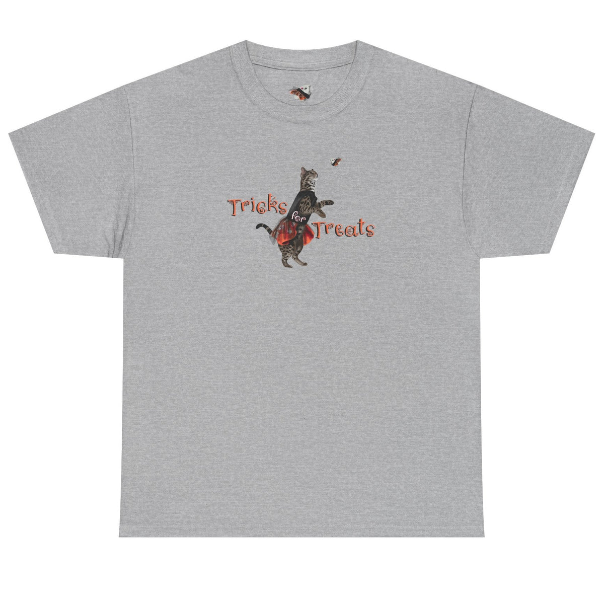 Tricks for Treats Flounder Halloween Ballet T-Shirt, shown in Sport Grey