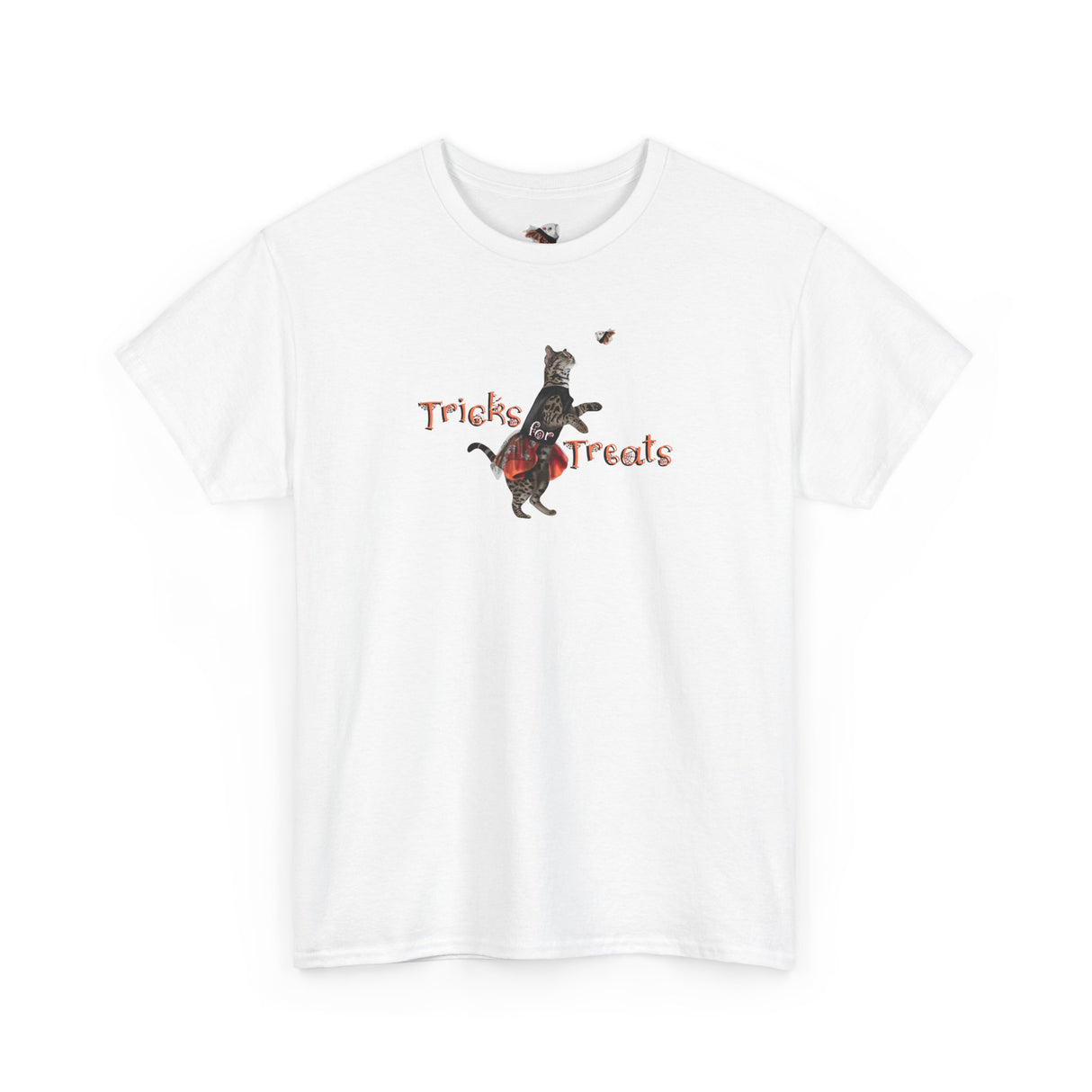 Tricks for Treats Flounder Halloween Ballet T-Shirt