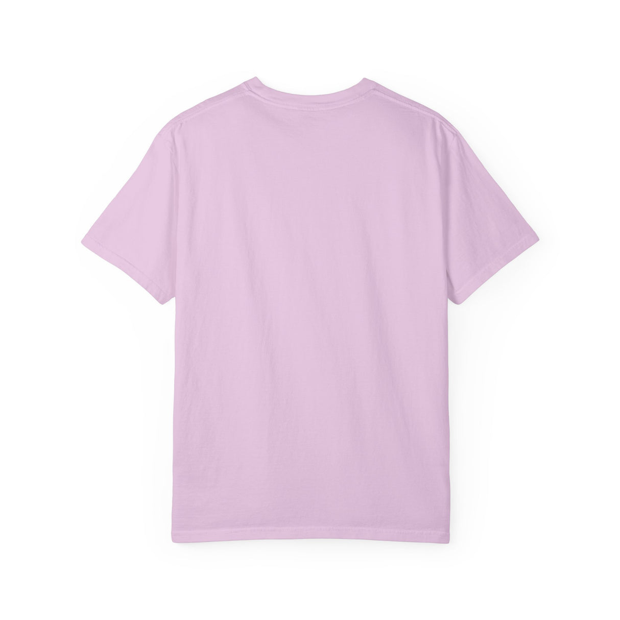T-Shirt Flounder and Mouse Toy Ballet Tutus Second Position Design by Nina