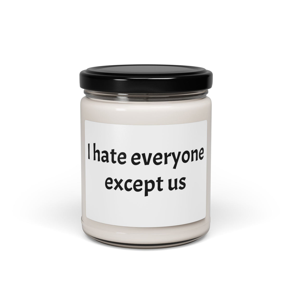 “I Hate Everyone Except Us” Scented Soy Candle – Funny Best Friend Gift, 9oz