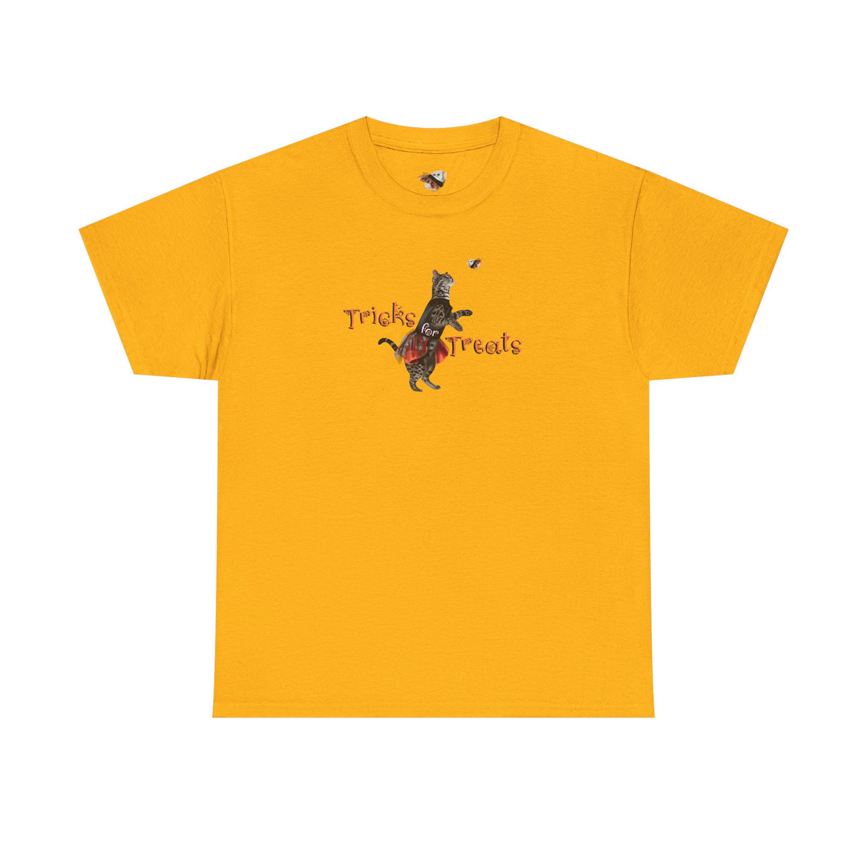 Tricks for Treats Flounder Halloween Ballet T-Shirt