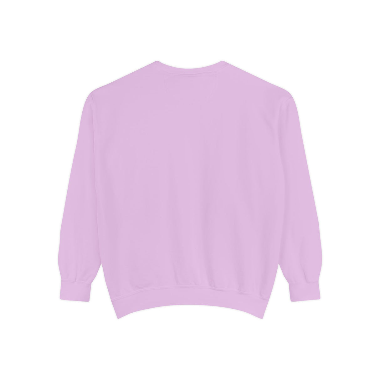 Sweatshirt Flounder and Mouse Toy Ballet Tutus Design by Nina