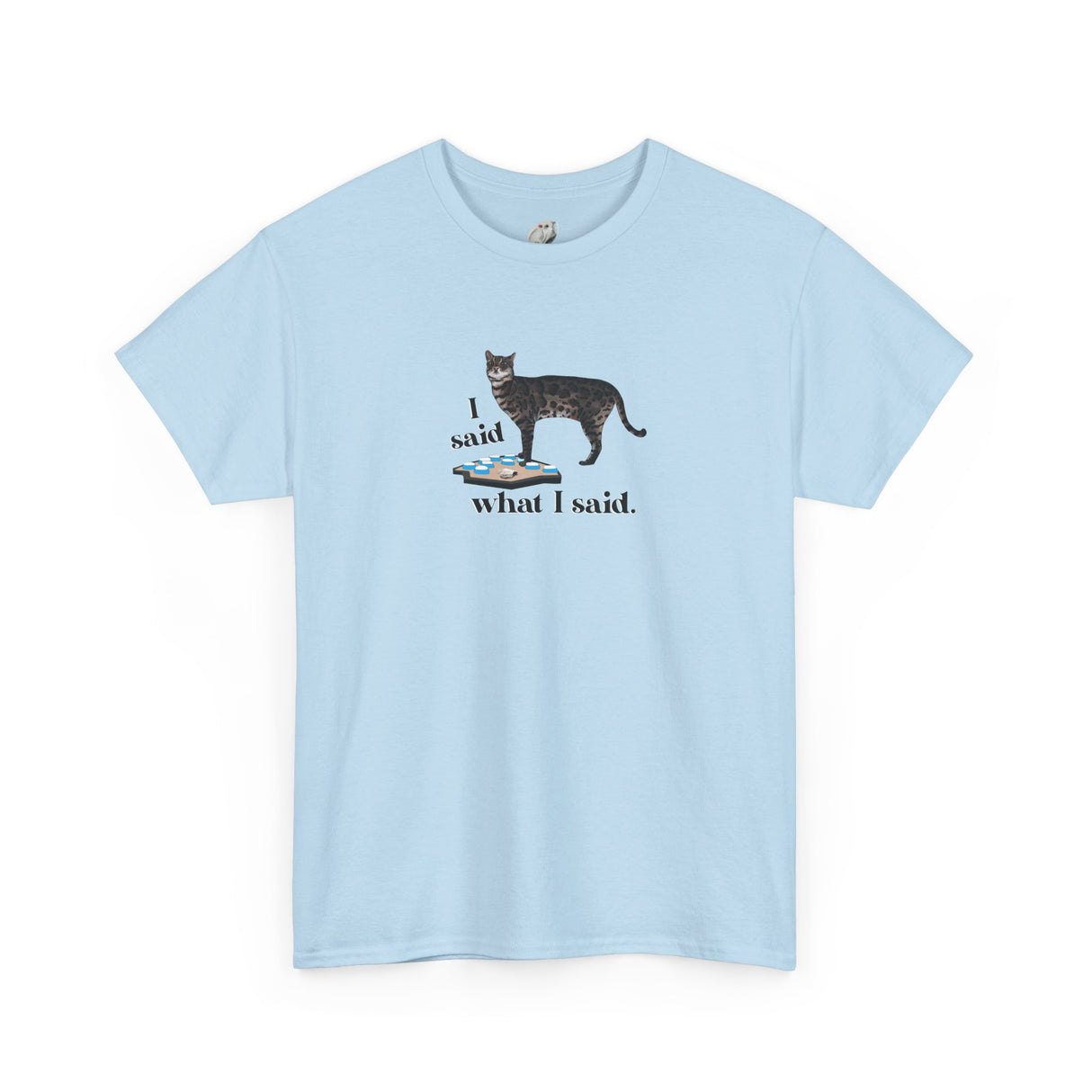 I Said What I Said Flounder Graphic Tee — Hand-Drawn Talking Pet Buttons