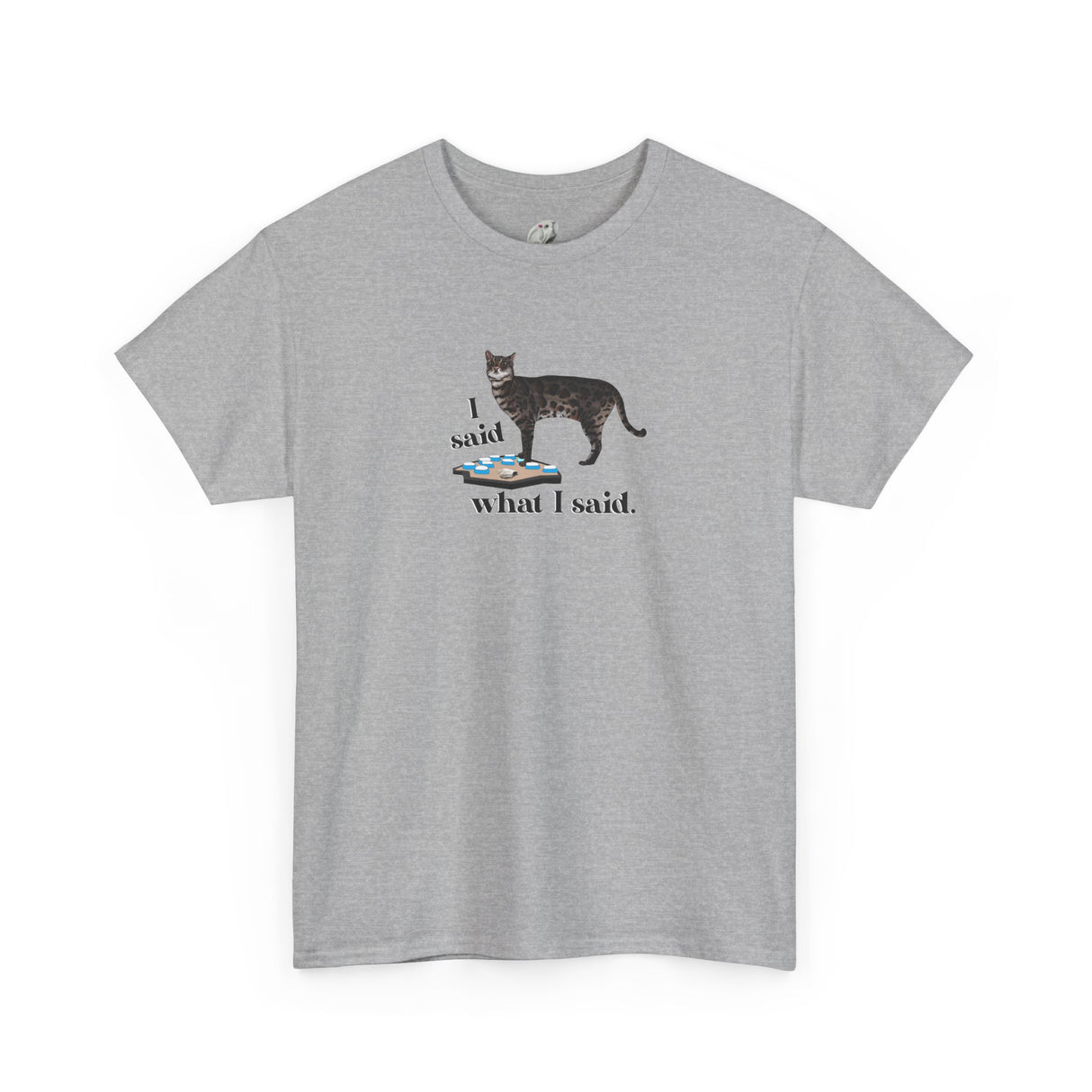 I Said What I Said Flounder Graphic Tee — Hand-Drawn Talking Pet Buttons