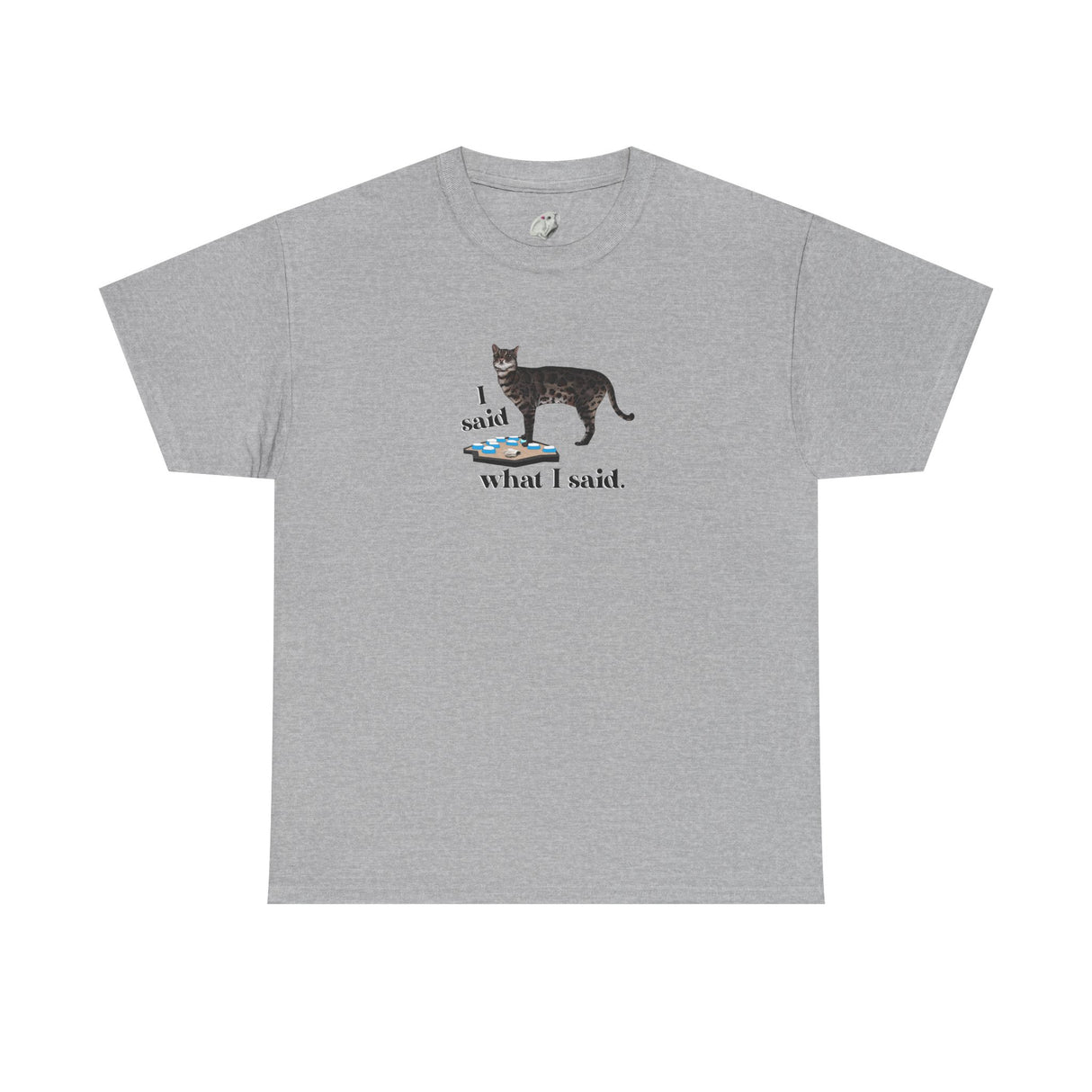 I Said What I Said Flounder Graphic Tee — Hand-Drawn Talking Pet Buttons