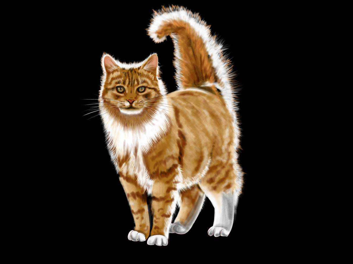 Custom Digital HandDrawn Pet Portrait