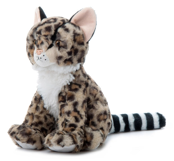 Flounder Cat 12" Plush