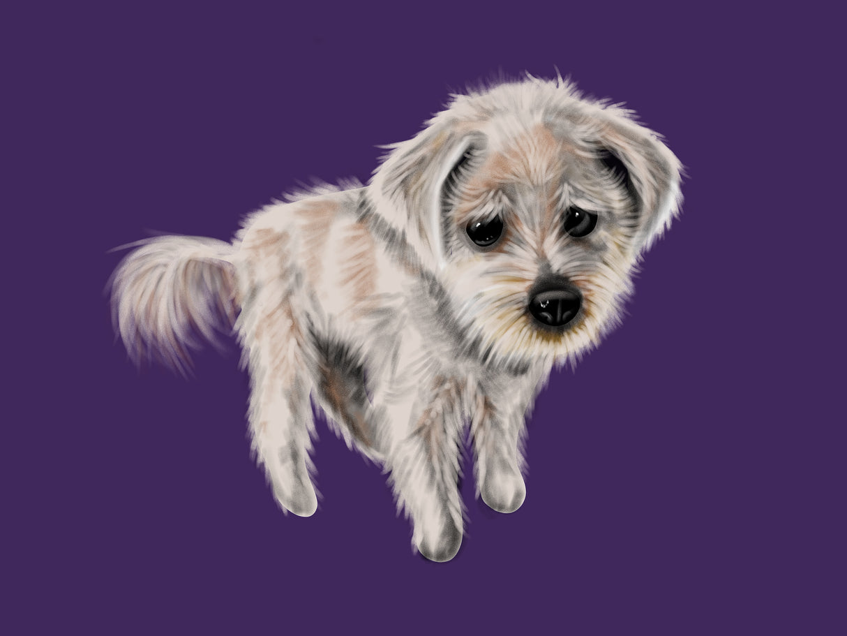 Custom Digital HandDrawn Pet Portrait