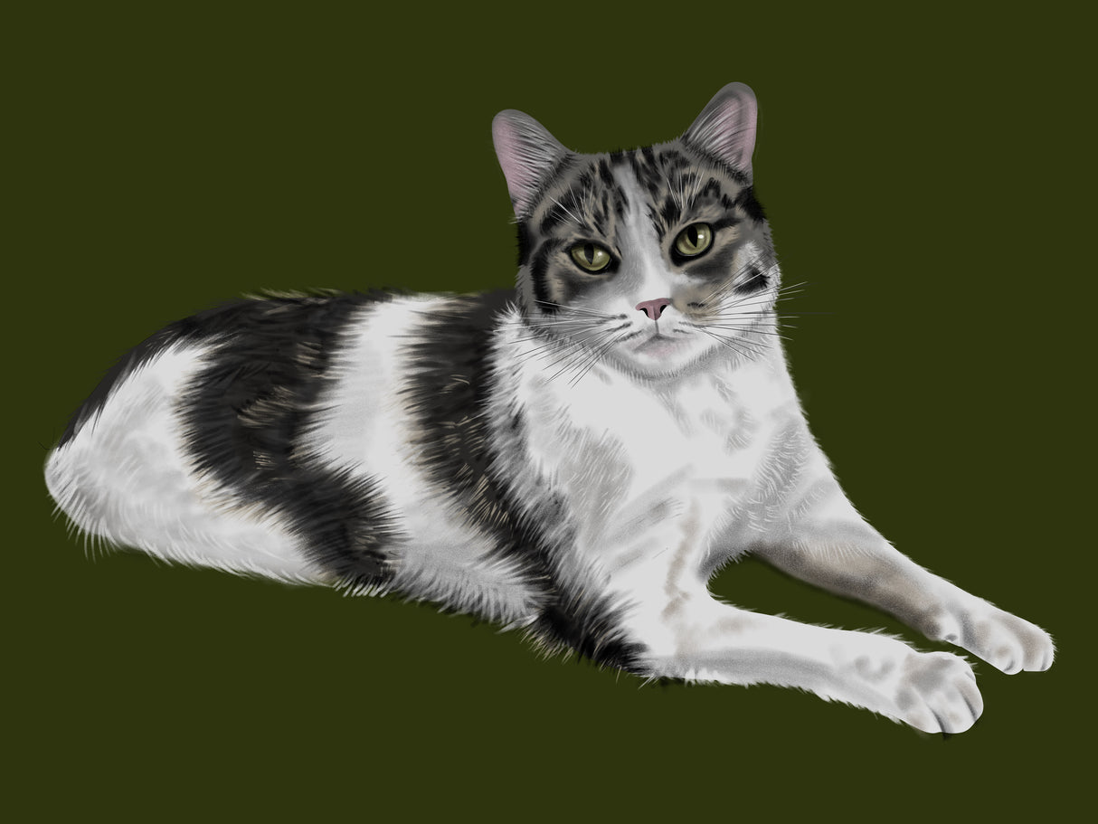 Custom Digital HandDrawn Pet Portrait