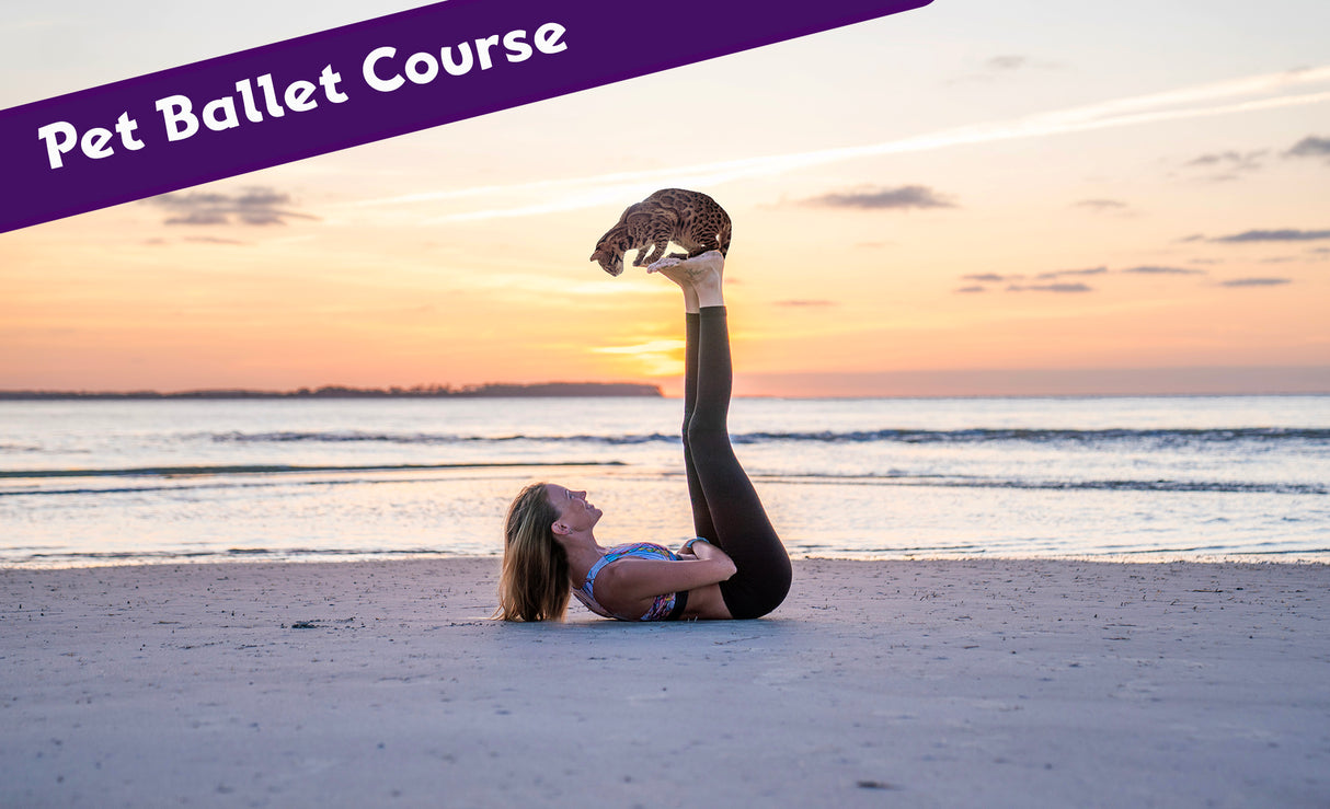 Pet Ballet Course