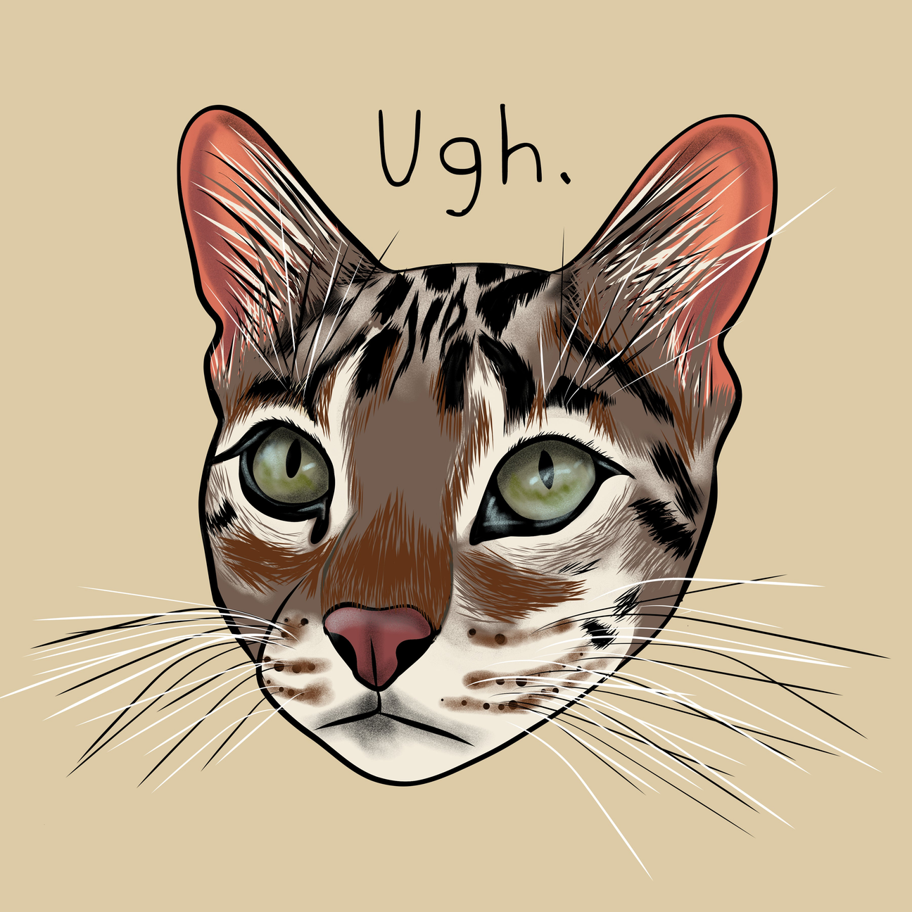 Flounder Cat Collection