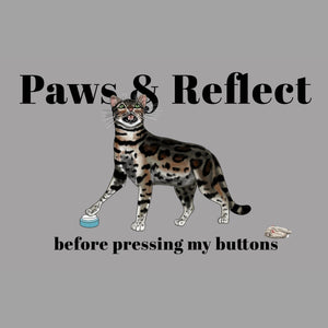 Paws and Reflect