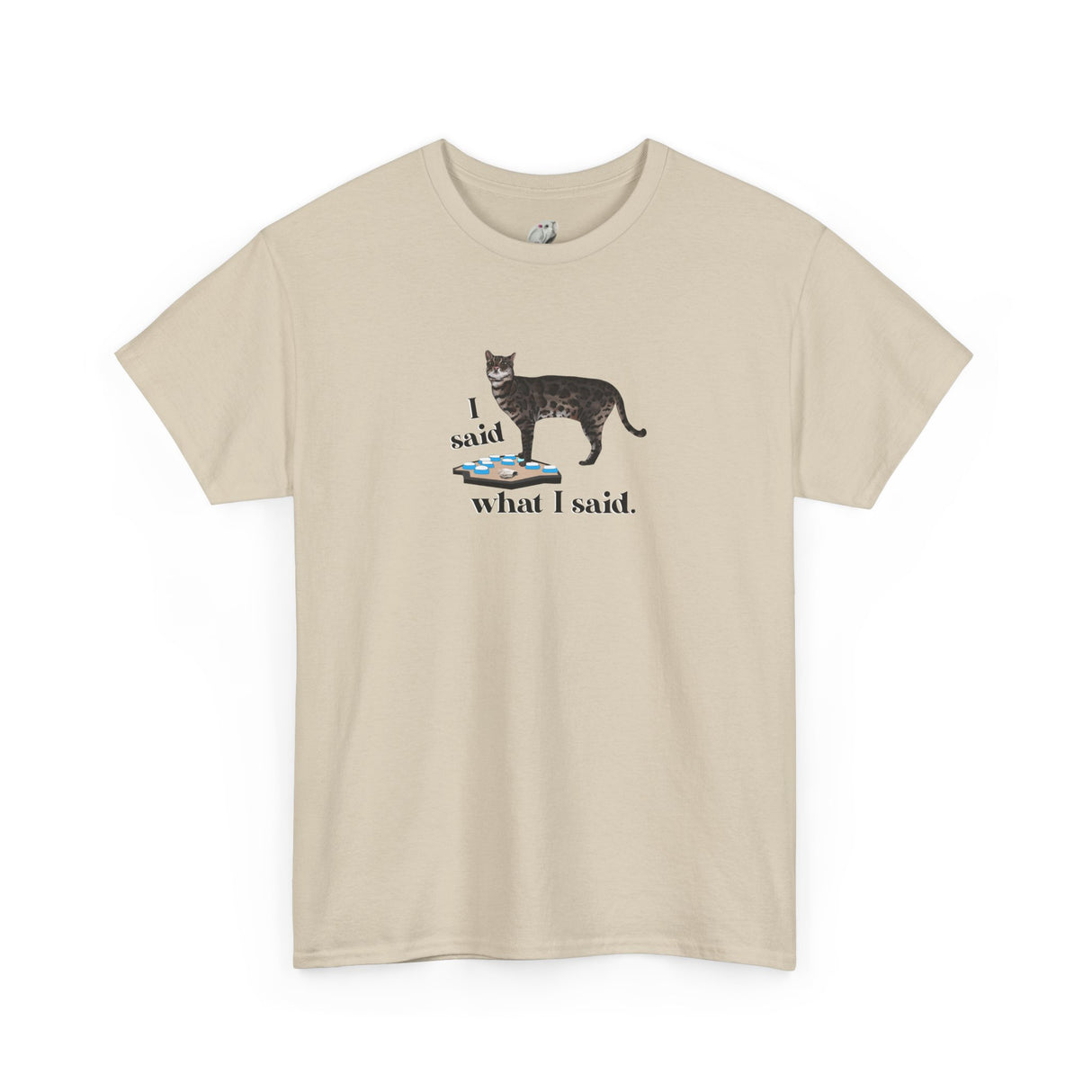I Said What I Said Flounder Graphic Tee — Hand-Drawn Talking Pet Buttons