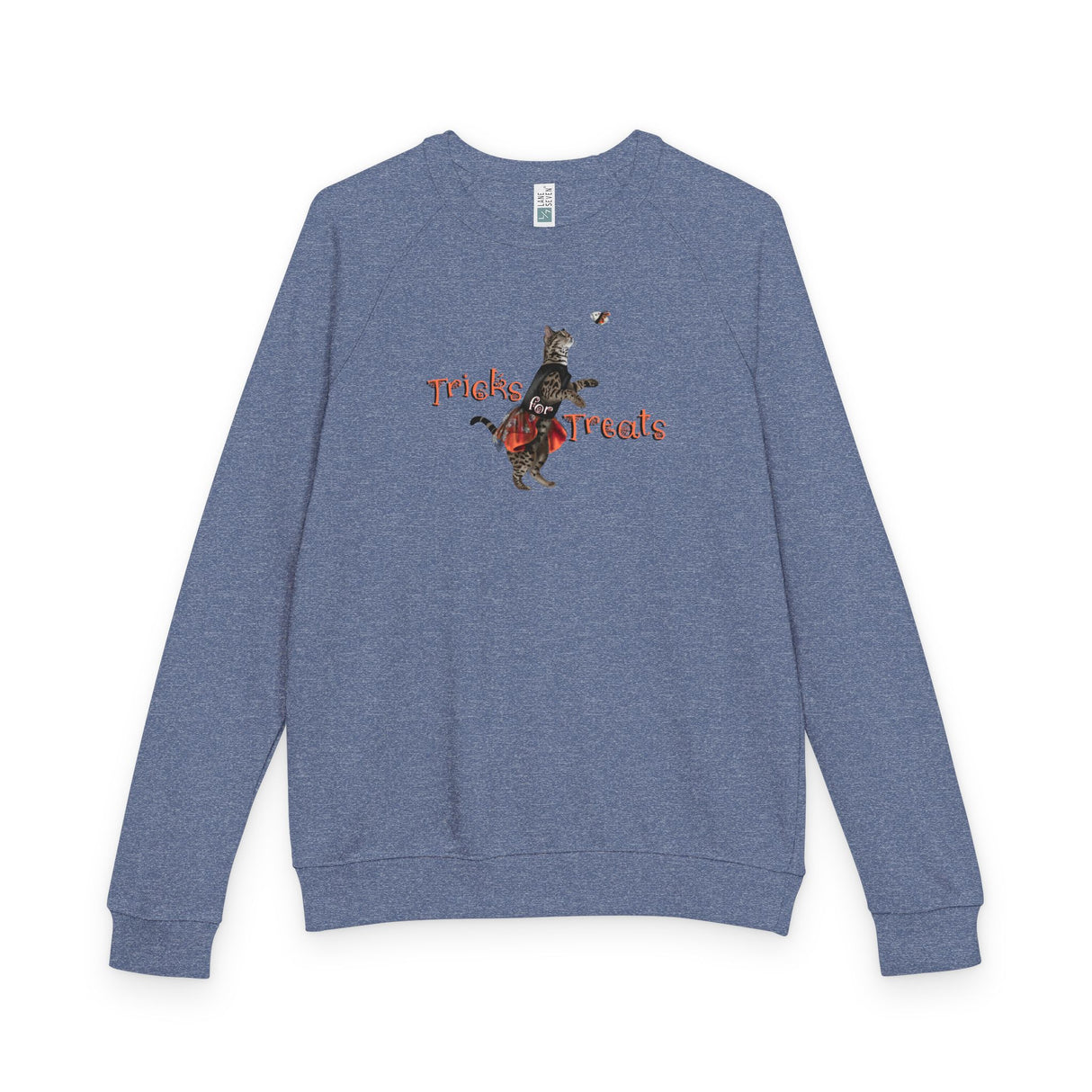 Halloween 'Tricks for Treats' Ballet Crewneck (Flounder in Tutu)