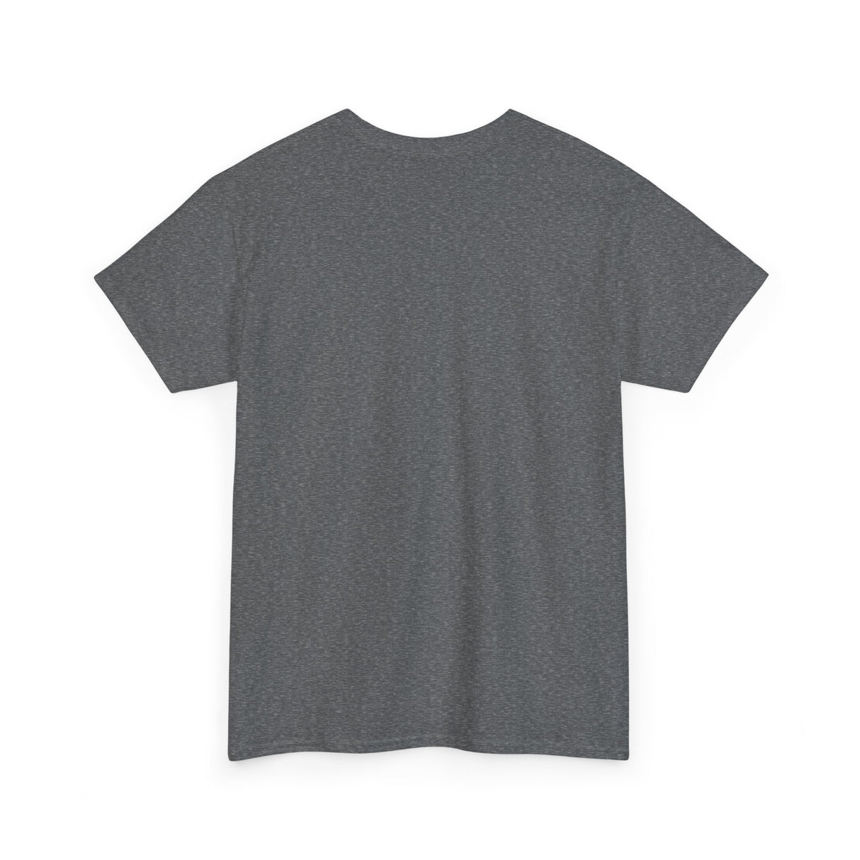 Vote Fish 2028 Flounder Tee — "Equal Rights for Mouse Toys" Funny Political Campaign T-Shirt