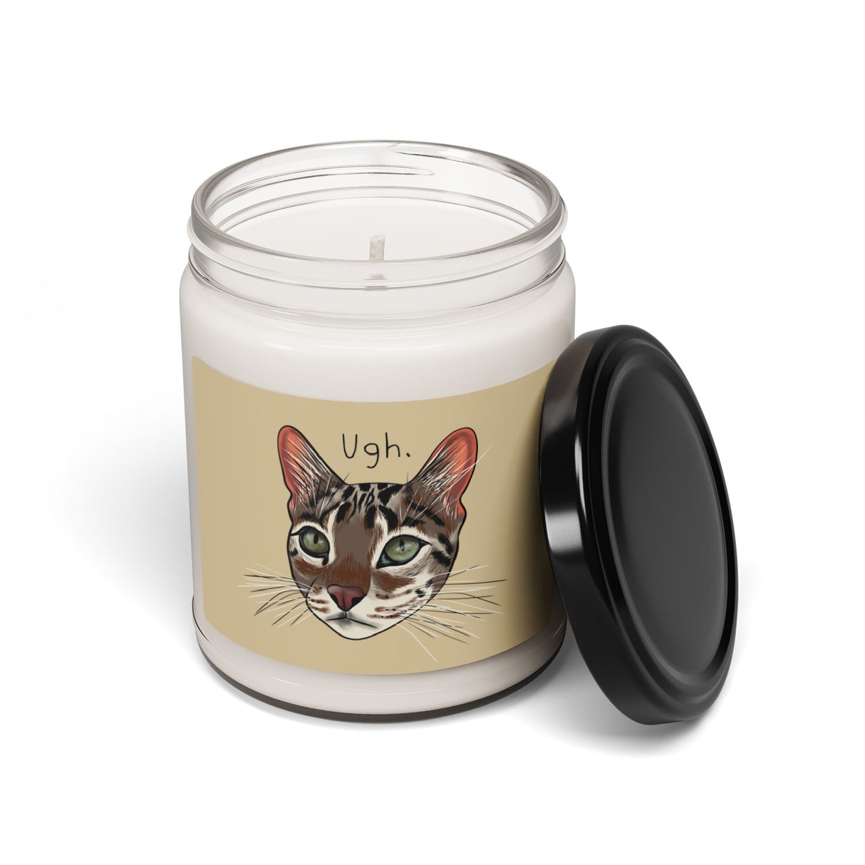 Flounder the Talking Cat "Ugh" Candle – 9oz Scented Soy Wax Candle