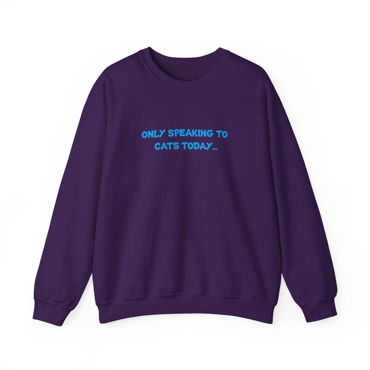 "Only talking to cats today..." Funny Cat Sweatshirt