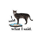 Kiss-Cut Sticker — “I Said What I Said” Flounder Talking Pet Buttons Design