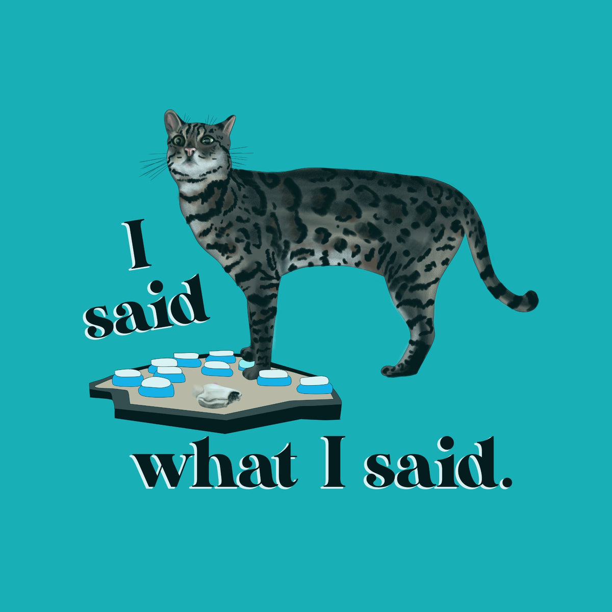 A stylized graphic of a spotted cat standing over a small board with blue and white circular pieces, with the text 'I said what I said.' on a solid teal background.