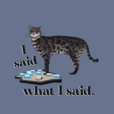 A graphic design featuring a spotted cat standing on a small platform with blue and white circular elements, accompanied by the text 'I said what I said.' on a muted blue-gray background.