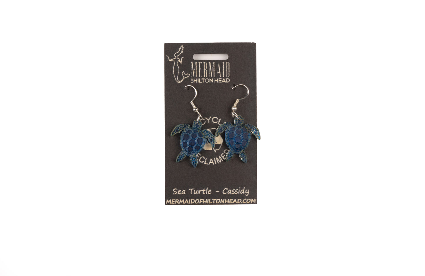 Sea Turtle Ocean Earrings