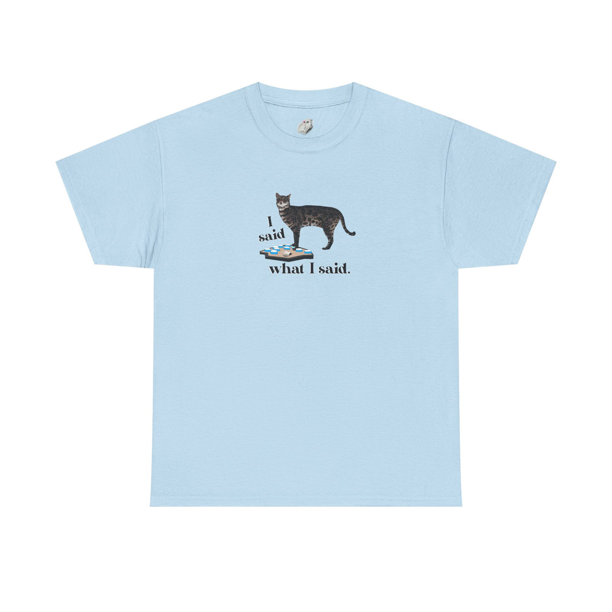 I Said What I Said Flounder Graphic Tee — Hand-Drawn Talking Pet Buttons