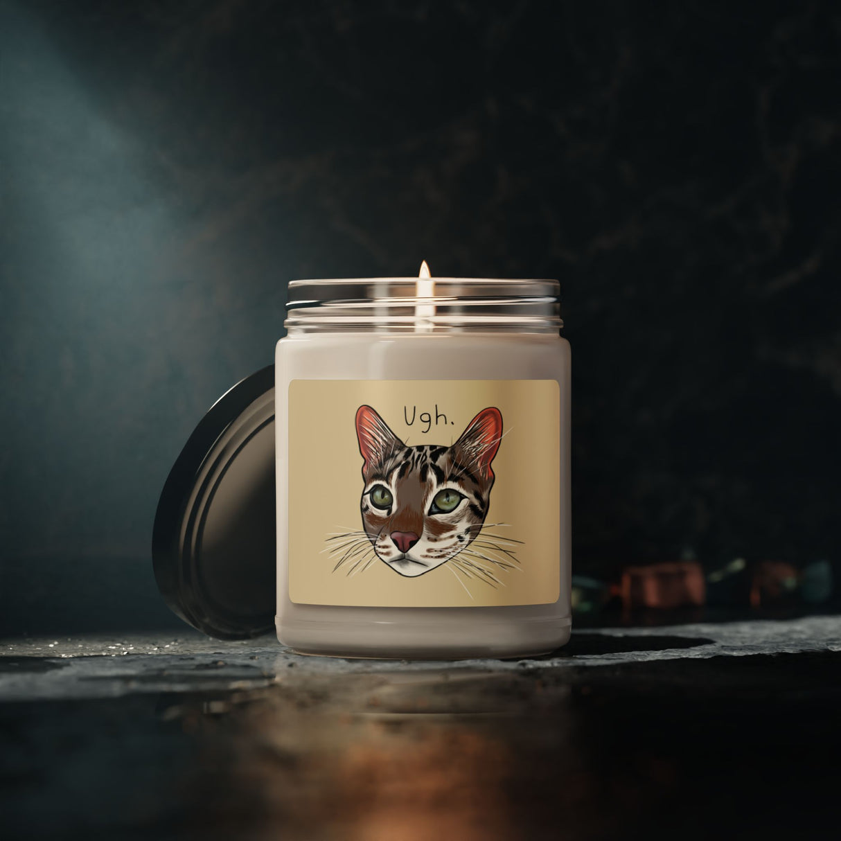 Flounder the Talking Cat "Ugh" Candle – 9oz Scented Soy Wax Candle