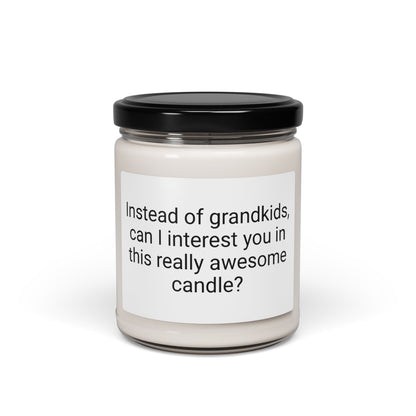 “Instead of Grandkids” Scented Soy Candle, 9oz – Funny Mother’s Day Gift