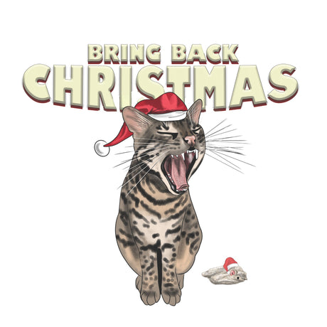 Cat telling with a santa hat on and the text bring back Christmas 