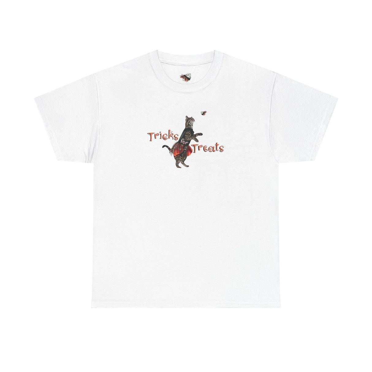 Tricks for Treats Flounder Halloween Ballet T-Shirt