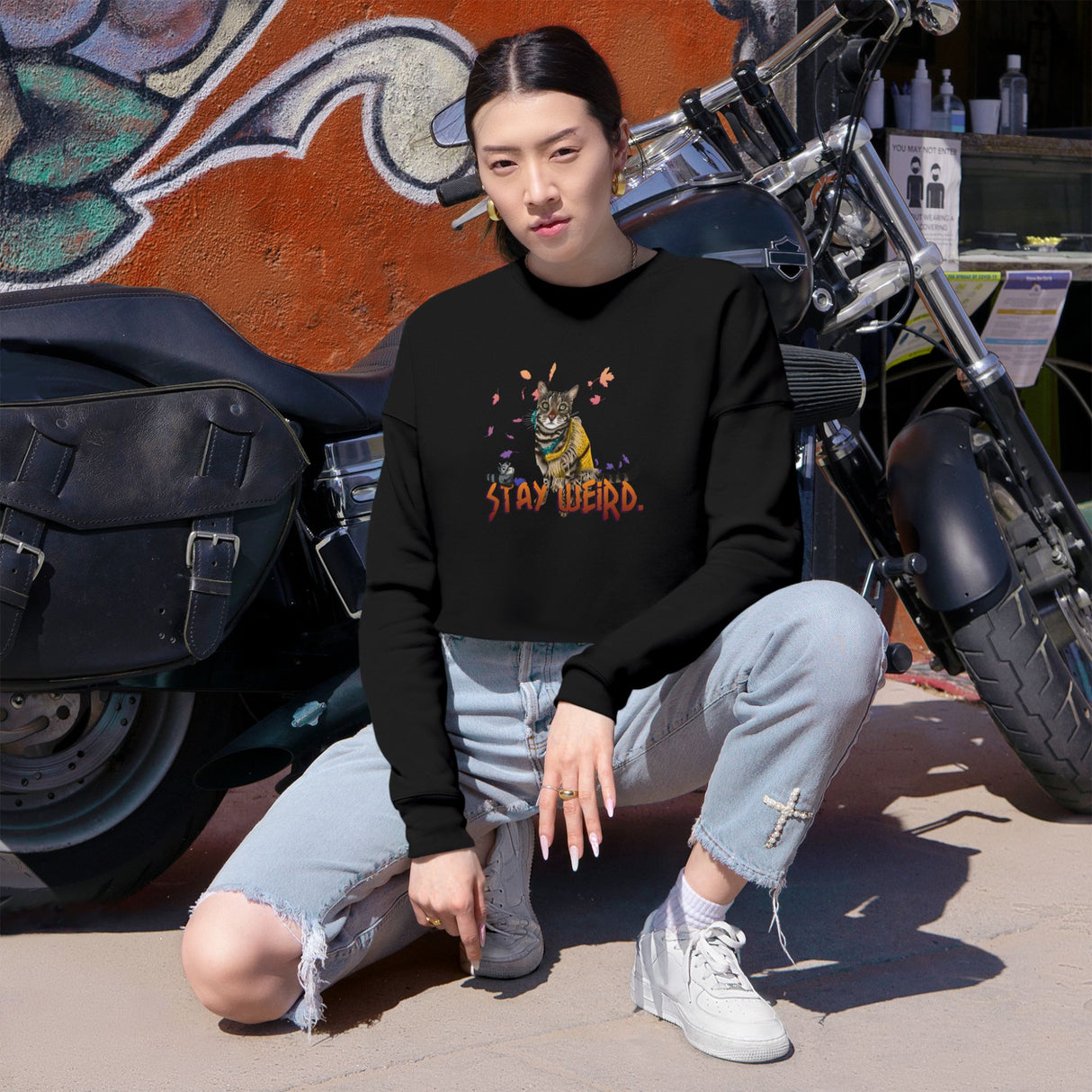 Stay Weird Cropped Sweatshirt — Flocahontas & Mouse Toy Artwork