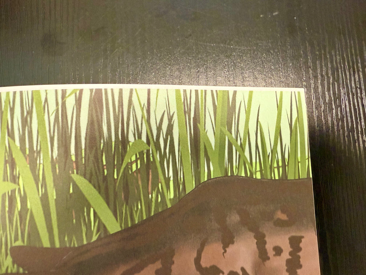 Fiki & the Frog Children's Book