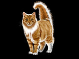 Custom Digital HandDrawn Pet Portrait