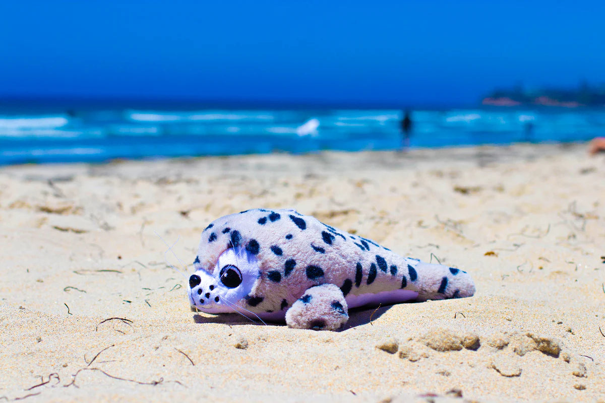 Sammy the Seal Shore Buddies 12" Plush