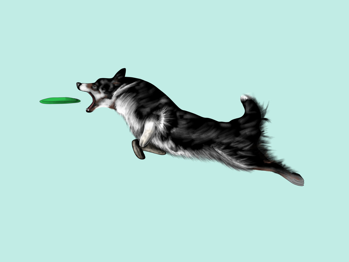 Custom Digital HandDrawn Pet Portrait