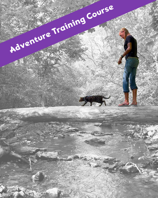 Adventure Training Course