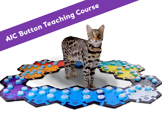 AIC Button Teaching Course