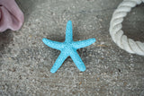 Starfish Hair Clips - Durable, Waterproof & Available in Colors