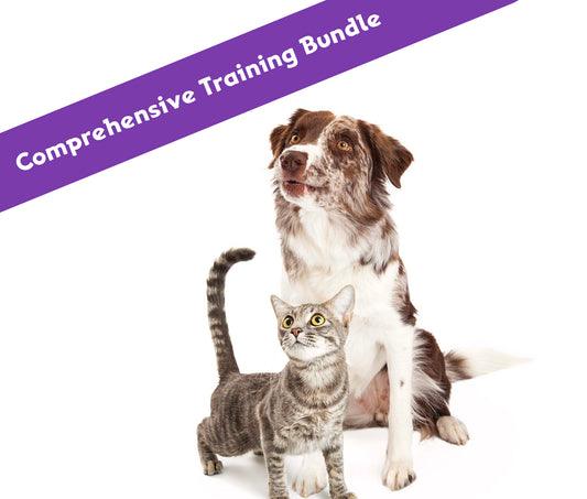 Comprehensive Training Bundle