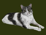 Custom Digital HandDrawn Pet Portrait