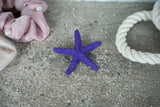 Starfish Hair Clips - Durable, Waterproof & Available in Colors